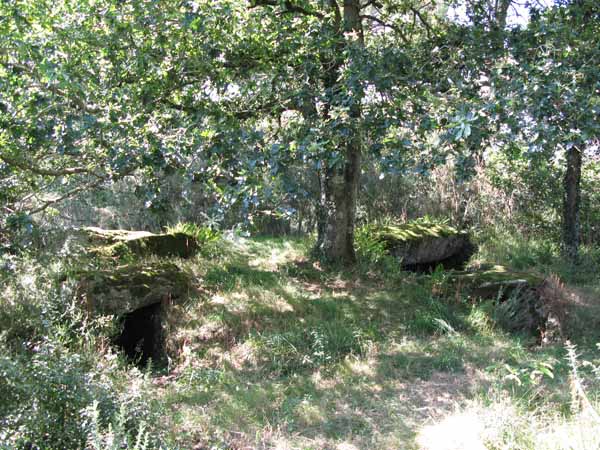 Dolmens de Kervilor-Man&eacute; Bras